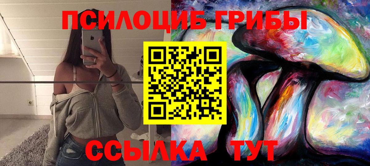 Псилоцибиновые грибы Psilocybine cubensis Рассказово