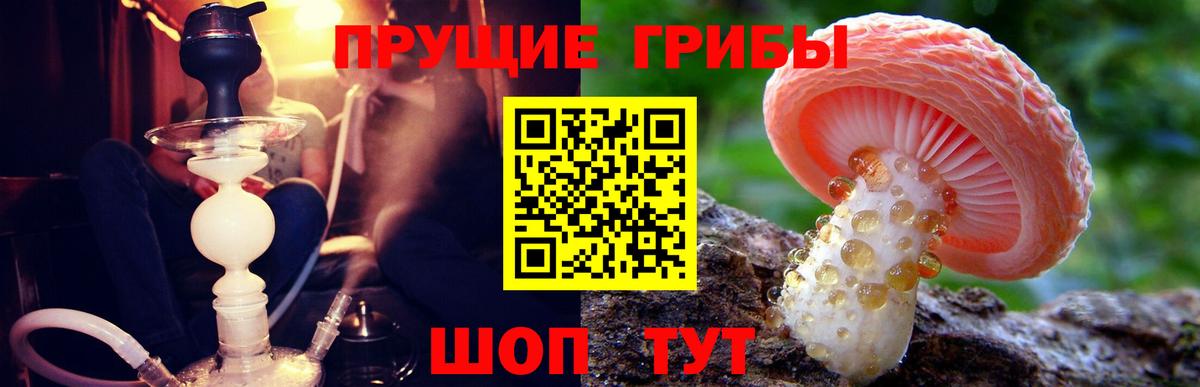 Псилоцибиновые грибы GOLDEN TEACHER  Вход с VPN  что такое   Рассказово 